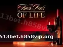 513bet